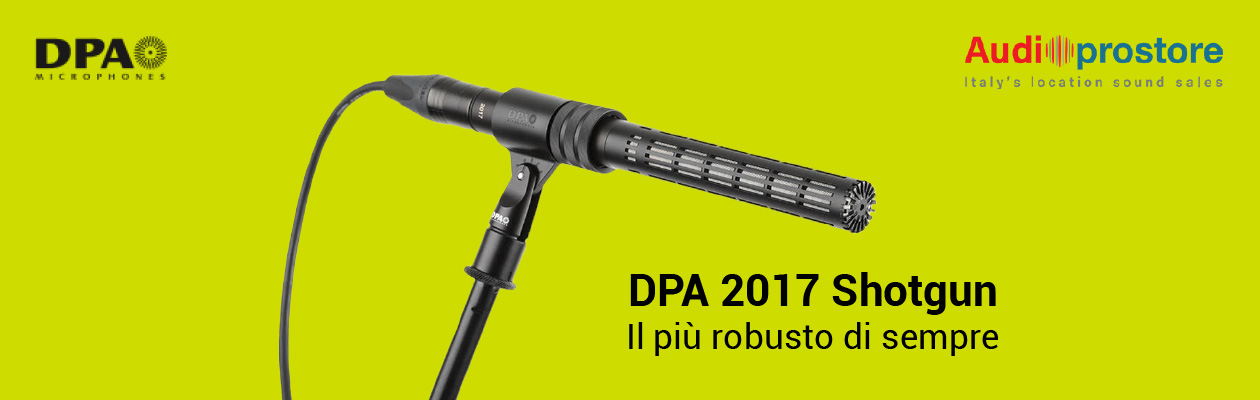 DPA 2017